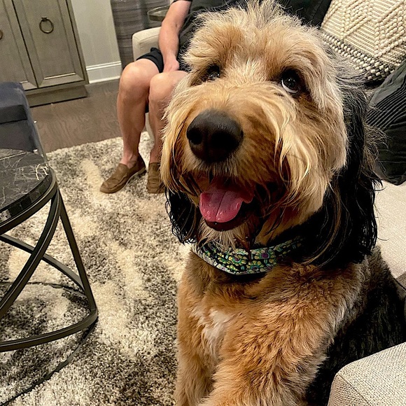 Meet your Posher, Christine - Picture 10 of 11